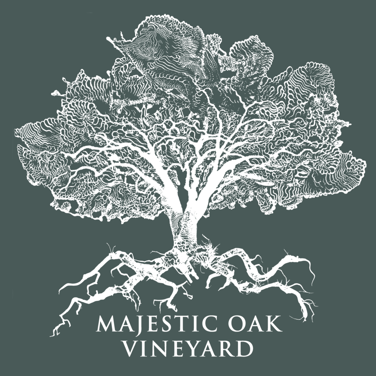 Majestic Oak Vineyard