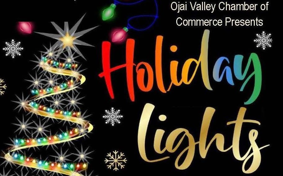 Holiday Lights in Libbey at Libbey Park
